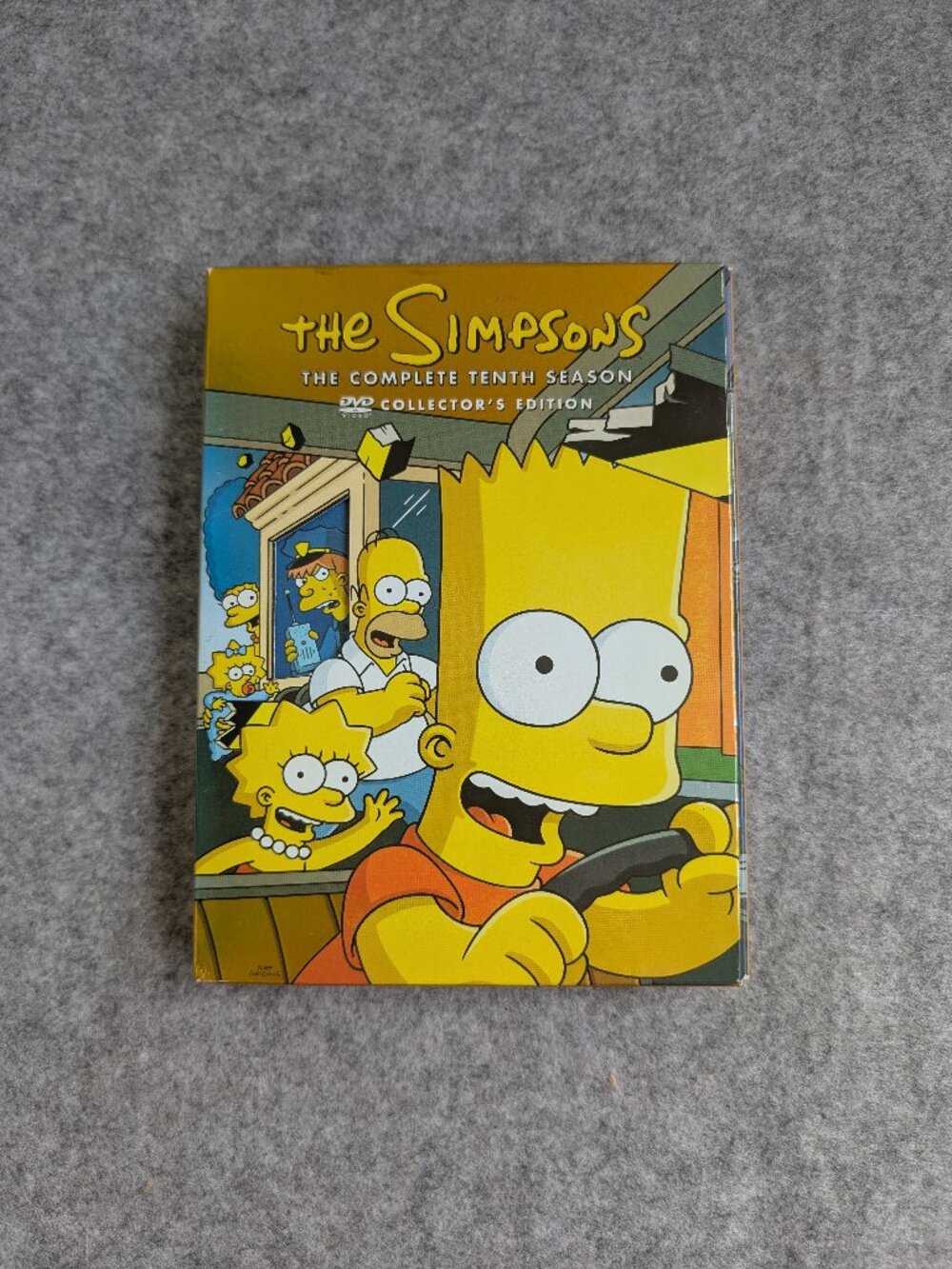 The Simpsons Season 10 DVD Collector's Edition Set